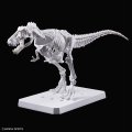 alt="Bandai 5067145 - Plannosaurus Tyrannosaurus Painting Ver." title="Bandai 5067145 - Plannosaurus Tyrannosaurus Painting Ver."