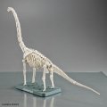 alt="Bandai 5067427 - Plannosaurus Brachiosaurus" title="Bandai 5067427 - Plannosaurus Brachiosaurus"