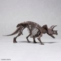 alt="Bandai 5061801 - 1/32 Triceratops Imaginary Skeleton" title="Bandai 5061801 - 1/32 Triceratops Imaginary Skeleton"