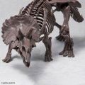 alt="Bandai 5061801 - 1/32 Triceratops Imaginary Skeleton" title="Bandai 5061801 - 1/32 Triceratops Imaginary Skeleton"