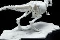 alt="Bandai 5061659 - Tyrannosaurus Dinosaur Model Kit Limex Skeleton" title="Bandai 5061659 - Tyrannosaurus Dinosaur Model Kit Limex Skeleton"