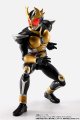 alt="Bandai HMR-64196 - S.H.Figuarts (SHINKOCCHOU SEIHOU) Masked Rider Agito Grand Form 25th Anniversary Ver." title="Bandai HMR-64196 - S.H.Figuarts (SHINKOCCHOU SEIHOU) Masked Rider Agito Grand Form 25th Anniversary Ver."