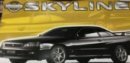 富士美 Fujimi 18651 - 1/24 MN-20 R34 Skyline GT-V 模型套件
