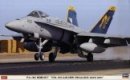 長谷川 Hasegawa 07326 - 1/48 F/A-18C 大黃蜂 VFA-192 金龍中隊 2009/2011 模型套件