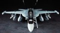 alt="Hasegawa 07252 - 1/48 EA-18G Growler" title="Hasegawa 07252 - 1/48 EA-18G Growler"