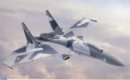 長谷川 Hasegawa 02334 - 1/72 Su-35 Flanker 無人機 模型套件