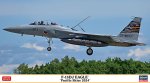 長谷川 Hasegawa 02484