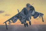 Italeri 1236 - 1/72比例 Sea Harrier FRS.1 模型套件