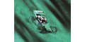 alt="Kyosho 30646 - 1:10 Scale Radio Controlled Electric powered 2WD Racing Buggy \\\'TOMAHAWK \\\'85 WC Worlds Spec" title="Kyosho 30646 - 1:10 Scale Radio Controlled Electric powered 2WD Racing Buggy \\\'TOMAHAWK \\\'85 WC Worlds Spec"