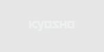 Kyosho 37032B - LE MANS 240S Brushless Motor (15.5T/4WD)