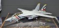 alt="Tamiya 61118 - 1/48 Grumman F-14D Tomcat" title="Tamiya 61118 - 1/48 Grumman F-14D Tomcat"
