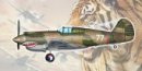 小號手 Trumpeter 05807 - 1/48 H-81A-2 AVG 靜態飛機模型套件