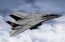 小號手 Trumpeter 03918 - 1/144 F-14B Tomcat 戰鬥機模型套件